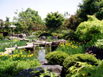 青苔亭と杜若池の写真